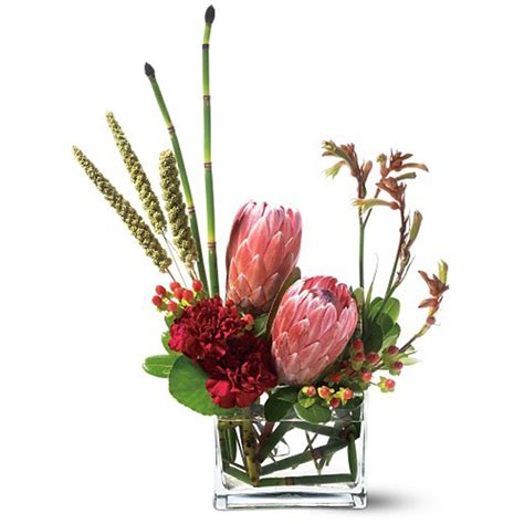 New jersey blooms' collection of floral gifts have everything you need to update the décor in your space. Teleflora's Modern Medley in Yucca Valley, CA | Cactus ...