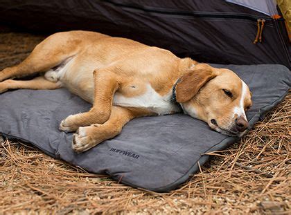 Queen or king sized beds are ideal for most bachelor pad bedrooms. Mt. Bachelor Pad™ Bed | Dog bed, Covered dog bed, Dog bed ...