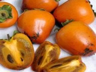 Needs pollinizer click here to read our persimmon growing guide. Chocolate Persimmon fruit tree | Chocolate persimmon ...