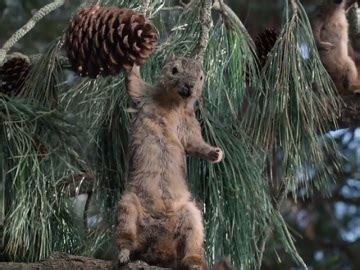 Average geico male vs female car insurance rates. Farmers Insurance Hall of Claims Squirrells Commercial: Vengeful Vermin