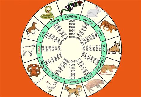 Șobolanul este cunoscut în zodiacul chinezesc ca fiind curios, subtil și plin de resurse. Horoscop Chinezesc 2020 2021