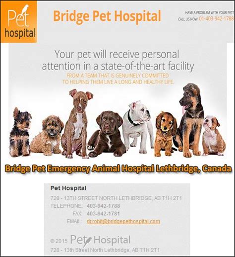 All animal pet hospital and dr. Bridge Pet Emergency Animal Hospital Lethbridge, Canada ...