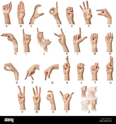 Asl alphabet for disabled people vector illustration isolated on a white background. Female hands finger spelling the ASL alphabet Stock Photo - Alamy