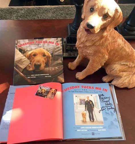 Petco dog training in el paso, tx. Golden Retriever Rescue of El Paso | Rescuing stray ...
