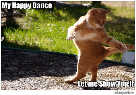 My cat was happy too see me. 20 Happy Dance Memes That Will Put A Smile On Your Face ...