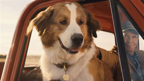 Az egy kutya négy útja a nagy sikerű egy kutya négy élete című film folytatása, amelyben bailey, a világ legkedvesebb kutyája végre megtalálja az élet értelmét. A Kutya Négy Útja Online Film - Nezd Meg Velunk Az Egy ...