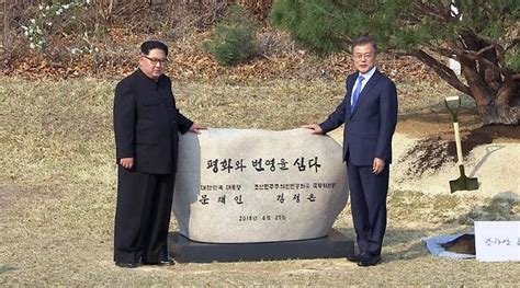 When kim jong un became the leader of north korea almost six years ago, many north koreans thought that their lives were going to improve. Kim Jong Un And Moon Jae In Planted A Tree Together, In A Show Of Solidarity - Koreaboo