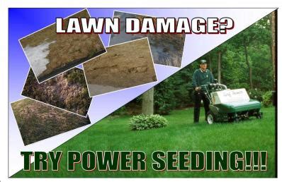 Our staff are properly screened. Lawn Care in Spanish Fort | Lawn Doctor of Baldwin County