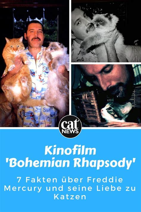 „freddie auf ewig, schrieb einer an die freddie mercury alias farrokh bulsara. Kinofilm ‚Bohemian Rhapsody': So sehr liebte Freddie ...