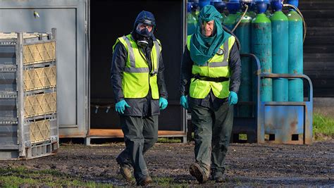 Bird flu first broke out in india in 2006. Bird flu outbreak simulation launched by APHA - Farmers Weekly