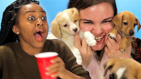 Made by bfmp www.buzzfeed.com/videoteam get more buzzfeed: BuzzFeed Video - Drunk Girls Get Surprised With Puppies
