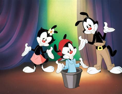 animaniacs, Family, Animation, Comedy, Cartoon Wallpapers HD / Desktop and Mobile Backgrounds