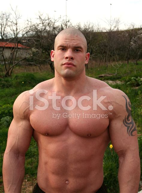 There is a pretty big homage to the big lebowski thrown into avengers: Young, Big Bodybuilder IN Rijeka Croatia Stock Photos ...