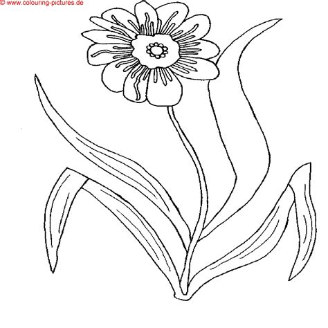 Ausmalbilder schleich bauernhof by ungu terong jumat 27 desember. Laura Stern Malvorlagen Gratis | Kinder Ausmalbilder