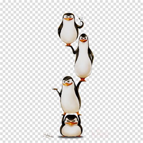 Animal, penguin png transparent clipart animal, penguin, clipart, png tags: Penguin Cartoon clipart - Penguin, Bird, transparent clip art