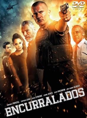 He is currently the 33rd most subscribed youtube channel with his account having over 35 million subscribers and 8.3 billion video views as of july 2020. Encurralados BDRip Dual Áudio + Torrent 720p e 1080p ...
