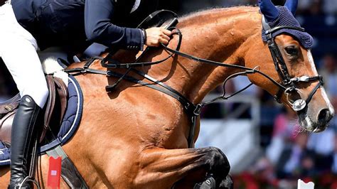 Steve guerdat is one of the worlds leading showjumping riders, from switzerland steve guerdat has had much success most notably winning the individual fold medal at the london 2012 olympics riding. Schweiz stellt ein starkes Team - FM1Today