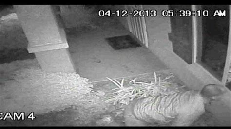 Video shows accused peeping tom lurking around teenage girl's bedroom in polk county toggle header content. Peeping Tom caught on camera in Stockton