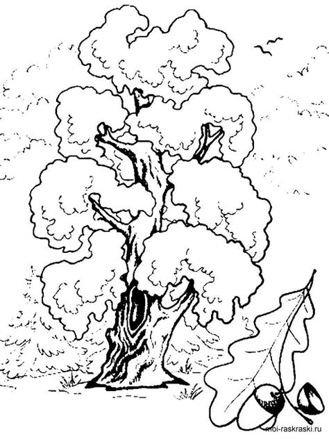 Download and print these oak tree coloring pages for free. Oak Tree coloring pages for kids. Free Printable Oak Tree ...