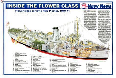 #howtoshipaplant #shippingplants #howtoshipplantshow to ship plants in the mailin this video we break down how to mail out a plant step by step. 200305 | Flower class, Royal canadian navy, Corvette