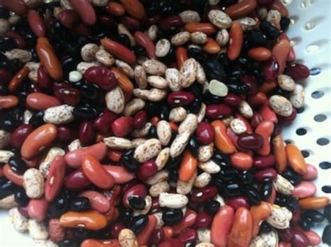 These bean recipes from food.com add lots of flavor and protein to all kinds of dishes, from chili to soup to mexican burritos. Slow Cooker Chili | Hurst Beans