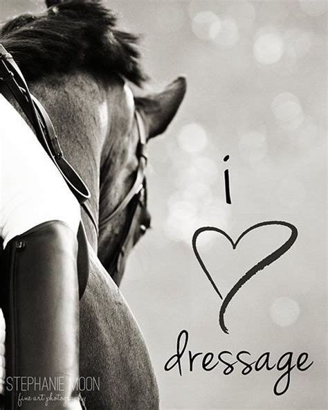 Find the best dressage quotes, sayings and quotations on picturequotes.com. Dressage Quotes. QuotesGram