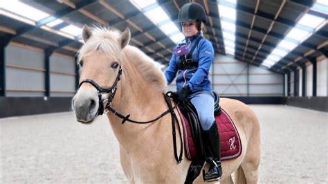 Kleurplaat paard tinker paard verzorgen kleurplaat kleurplaten printen op. Kleurplaat Paard Met Ruiter Springen