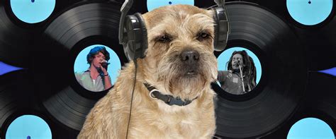 Sleeping dogs is set in a contemporary hong kong, which is split into four districts named after regions of the city. Music for Dogs: Relaxing Songs for Sleep and Anxiety