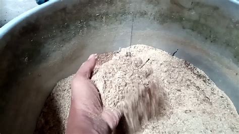 Tambahkan kaldu ayam agar rasa lebih gurih. Cara buat pakan ayam kampung organik - YouTube