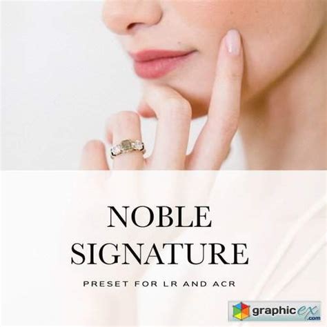 You can apply a preset and then make minor or major adjustments to those settings to suit the needs of a specific photo. Noble Signature Lightroom Presets » Free Download Vector ...