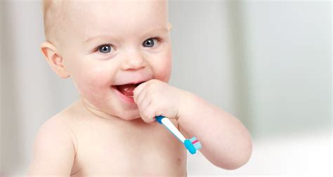 Baby & zahnen » meilensteine in der babyentwicklung: Tipps zu Zahnschutz & Zahnpflege | HiPP
