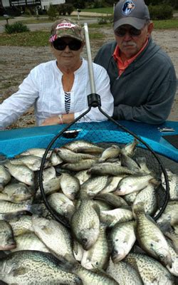 This immense reservoir, despite a lot of bass fishing pressure, has been a feather in the bluegrass state's bass cap for several years in a row. Kentucky Lake Fishing Report