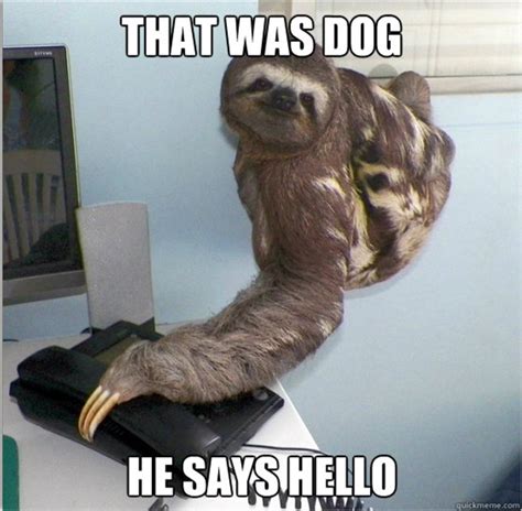 See more ideas about funny animals, animals, cute animals. 30 funny animal captions (30 pics) - Funny Photos | Funny ...