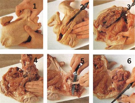 El sabor y textura del pollo se puede perder si abusas de la cantidad al cocinarlo. RECETARIO DE OLULA DEL RIO: DESHUESAR UN AVE