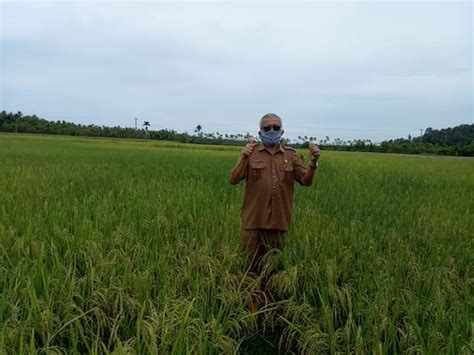 Latar belakang merupakan bagian yang pertama kali akan dibaca dalam sebuah makalah. Pemerintah Kabupaten Pesisir Selatan - Distanhorbun ...