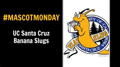 Level up games santa cruz. It's #mascotmonday! What's up, UC Santa Cruz? | Mascot ...