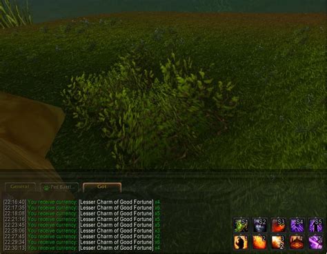 Lesser charm of good fortune. Best way to farm lesser charms of good fortune : wow