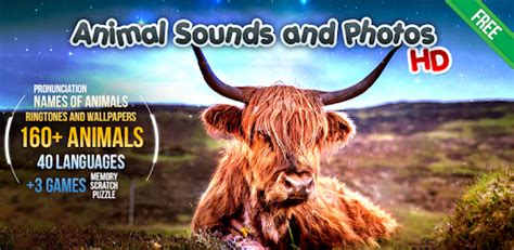 Learn to make iconic outback didgeridoo animal sounds such as the kookaburra, the dingo and the kangaroo. Animal Sounds - Apps on Google Play