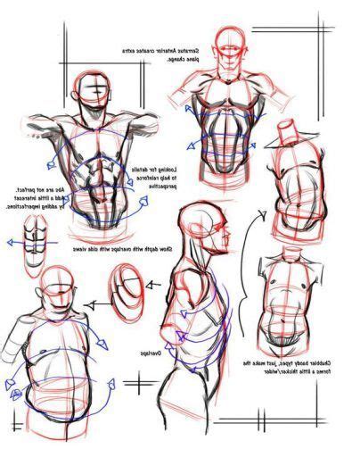 This is a tool for helping artists who needs lights references on human face. character-male-anatomy56 | Anatomy drawing, Art reference ...