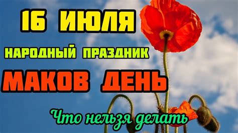 Какой сегодня праздник, у кого день кроме того, в украине 16 июля отмечают день бухгалтера, день принятия декларации о суверенитете и. 16 июля народный праздник Маков день (Стожары) - YouTube в ...