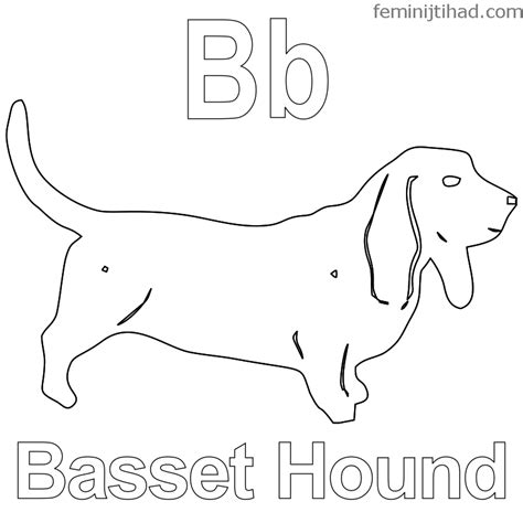 Basset hound coloring page from dogs category. Basset Hound Coloring Page at GetDrawings | Free download