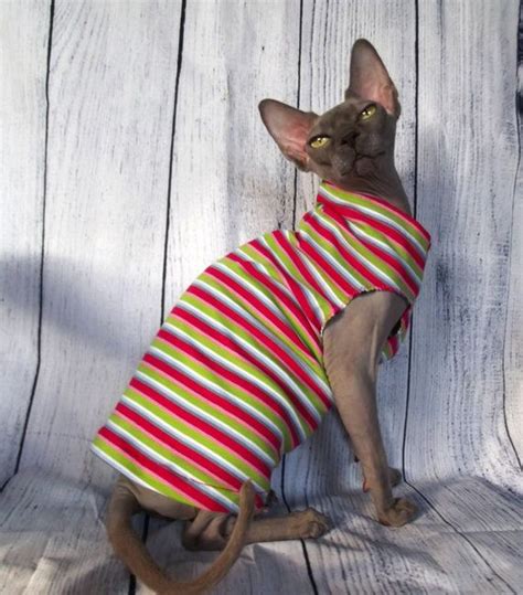 Sphynx clothes sphynx sweater cat clothes cat sweater | etsy. sphynx sweater | Sphynx, Sweaters, Pumps