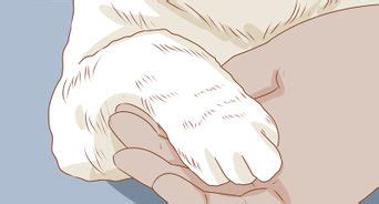 If your fingernail is ingrown, one edge of the nail grows and curves into the soft skin around the sides of the finger. How to Cut Your Fingernails and Toenails: 13 Steps (with ...