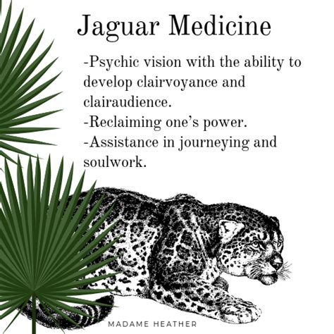 Perhaps you are going to get a promotion or finally solve issues with your partner, but whatever this thing might be, you are going to be victorious in it. Jaguar Spirit Animal | Spirit animal, Animal spirit guides ...