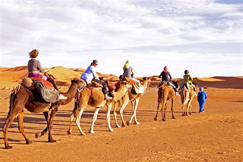 No attempt, so far as i know, was. 20 Best Things To Do In Jeddah - Tiketi Blog - Travel Guide