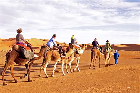 How are you supposed to really know what a camel's gone through prior to you having it? How to get active in Jeddah's desert - Radisson Blu Blog