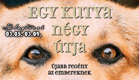 Egy kutya négy élete, szerző: Kelly és Lupi olvas: W. Bruce Cameron: Egy kutya négy útja ...