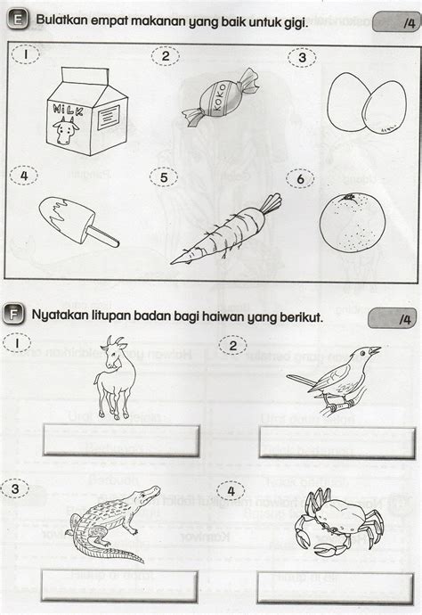 Soalan dalam bahasa inggeris mendahului soalan yang sepadan dalam bahasa melayu. soalan sains tahun 3