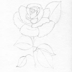 Vara trecuta sa umplut de niste insecte albe minuscule, care la atingerea frunzelor isi luau zborul. Un Peisaj Cu Trandafiri In Creion / 20 Deseny Ideas Creion Desene In Creion Desene Artistice ...