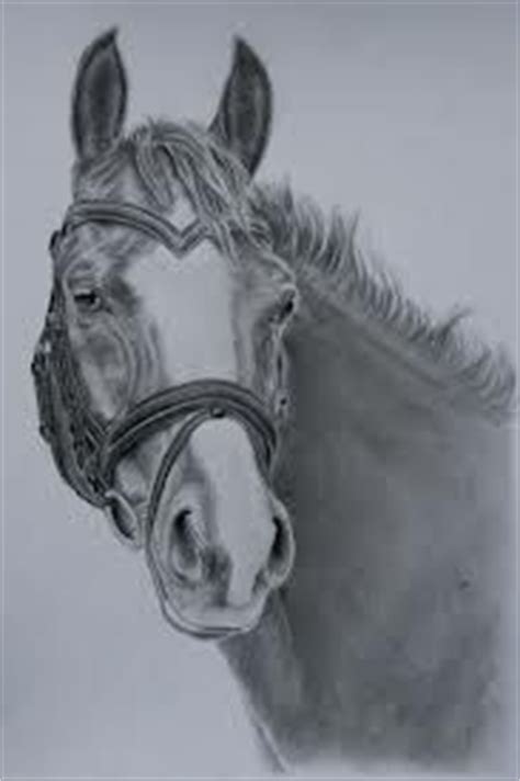 Deze tekening is bedoeld om na. paardenhoofd tekening in stappen - Google zoeken - tekenen ...